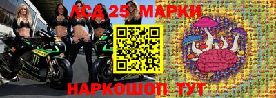apvp Бердск