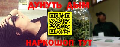 apvp Бердск