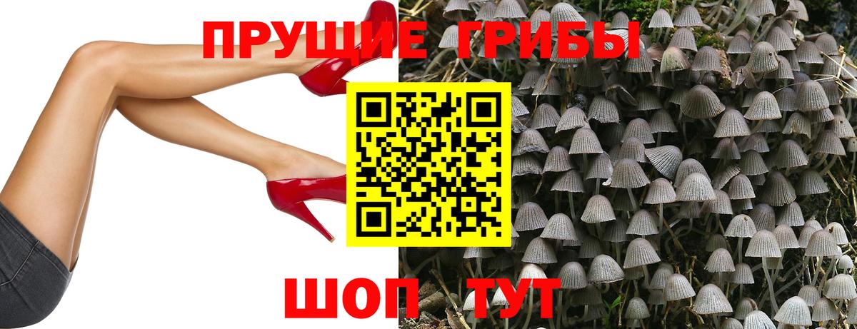 Галлюциногенные грибы ЛСД  Галлюциногенные грибы прущие грибы  Вход с VPN  купить наркотик  Ачинск 